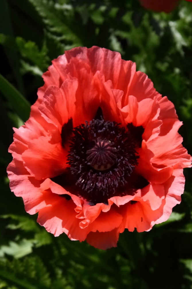 2012 05 20 3693
